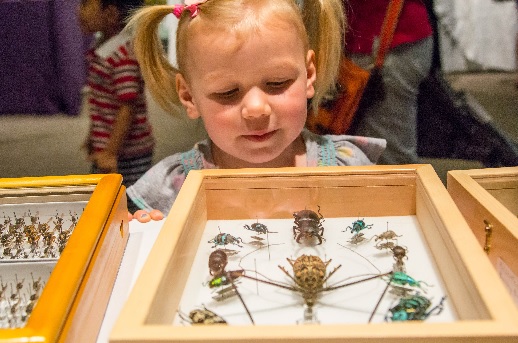 Get Up Close & Personal with Bugs at Academy Of Natural Sciences